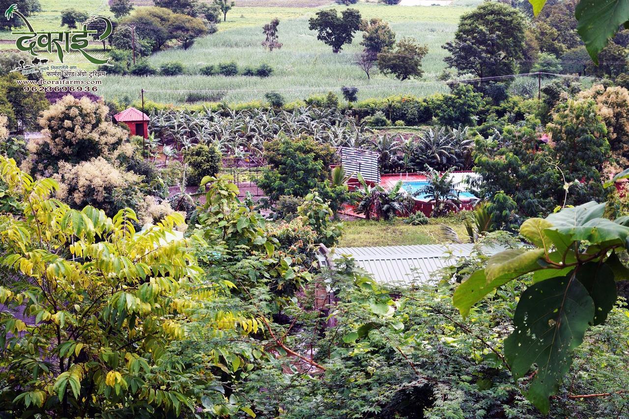 Deorai Farms And Agro Resort 浦那 外观 照片